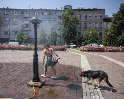 The Heat That Rewrites History: Central Europe’s Summer of Extremes