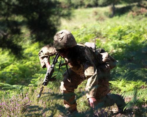 The $20 Million Hormone Edge: Why the British Army Is Betting on Oestrogen