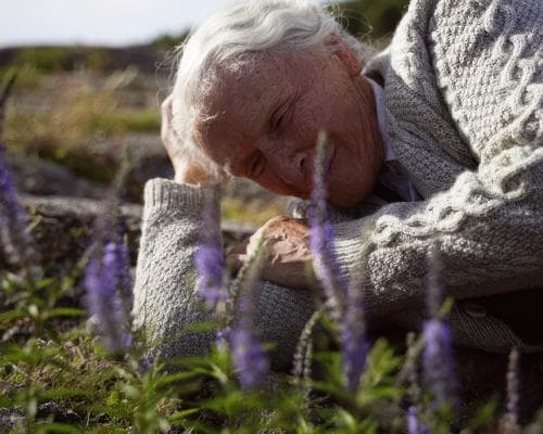 The Island of Grief and Grace: Where a Summer Cottage Becomes a Sanctuary