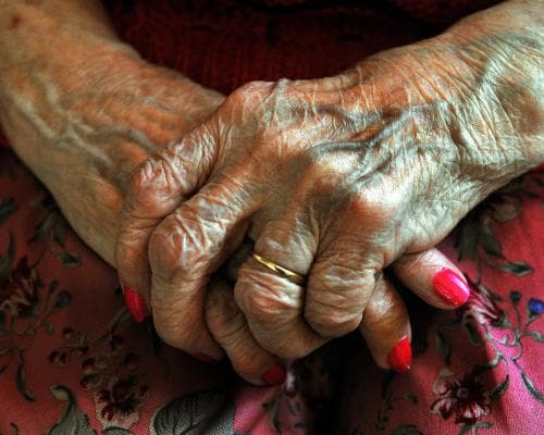 Longevity's Uneven Dividend: Why the North-South Life Expectancy Gap Is a Billion-Dollar Blind Spot