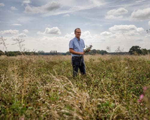 When the Garden of England Runs Dry: The New Calculus of Culinary Power