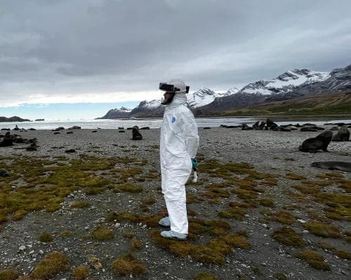The Last Continent: A Voyage to the Edge of the World, Where Bird Flu Casts a Shadow Over Untouched Ice