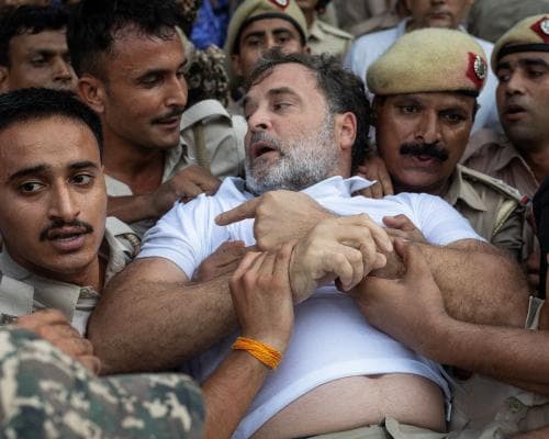 The Cockroach That Refuses to Be Crushed: India’s Youth Rebellion Becomes the Season’s Most Coveted Accessory