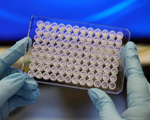 AstraZeneca Circles Bristol Myers: The $400 Billion Pharma Megamerger That Would Reshape the Global Drug Trade