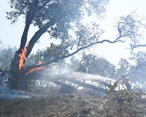 Big Sur's Burning Edge: The Luxury Coastline That Nature Keeps Reclaiming