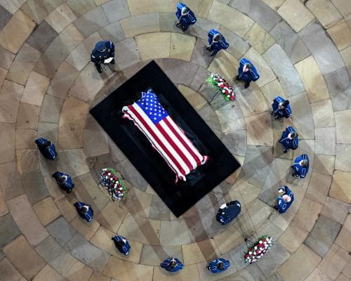 The Final Port of Call: Washington Bids Farewell to a Lion