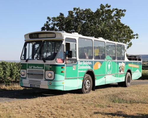 The 46° Secret: Hungary's Vintage Bus to the Vineyards of the Ultra-Discerning