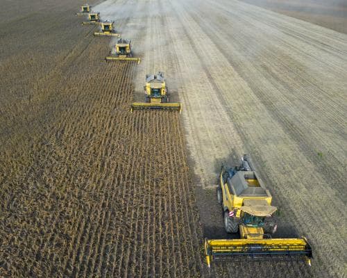 The Godzilla El Niño Is Coming for Your Portfolio: Why the Super Cycle Spells 'Climateflation' for Global Food Prices