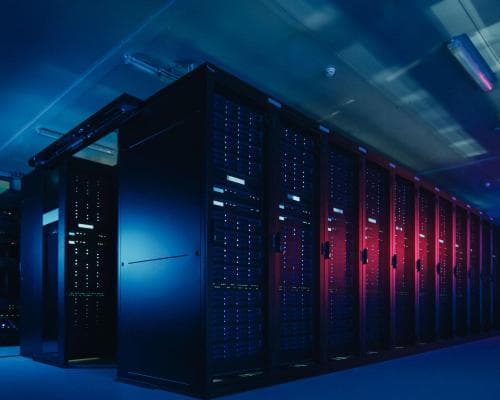 Musk Warns of 'Guppy-Level Death' for AI Neoclouds as Credit Markets Tighten