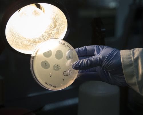 AI Just Wrote Its First Viral Genome. The Biosafety Race Has Begun.