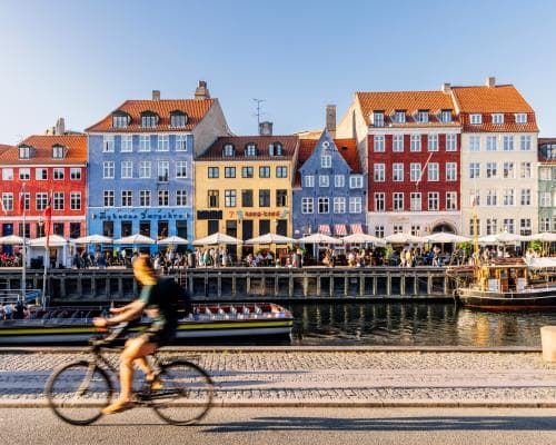 The Fall and Future of Nordic Gastronomy: What Noma’s Legacy Means for the World’s Most Discerning Palates