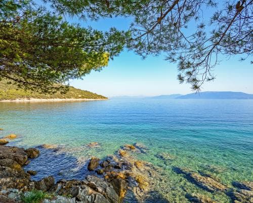 The Uncharted Adriatic: Where Vultures Soar and Billionaires Disappear