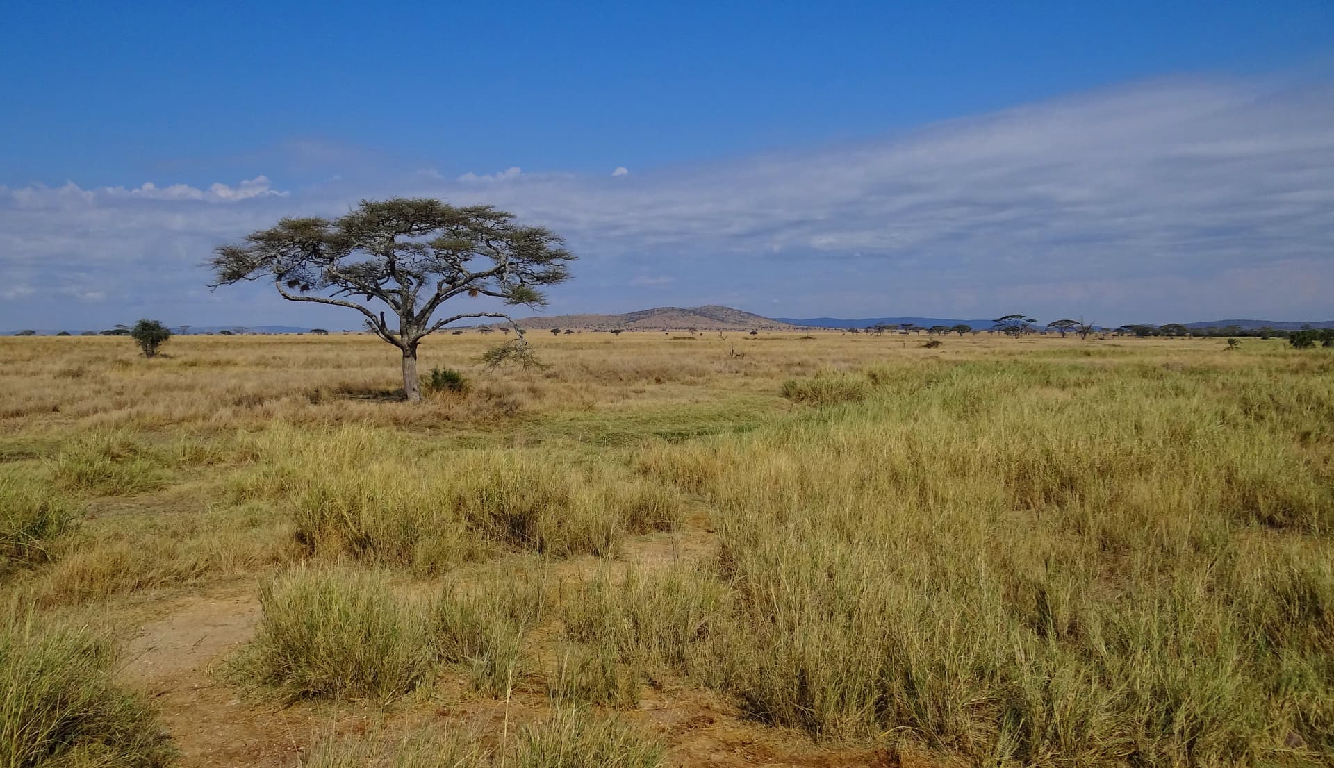 Singita Grumeti: The Most Exclusive Address in the Serengeti