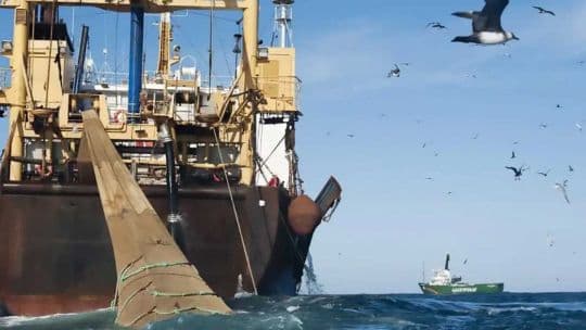 Falklands 2047: Fishing rights extension locks in Britain's South Atlantic squeeze