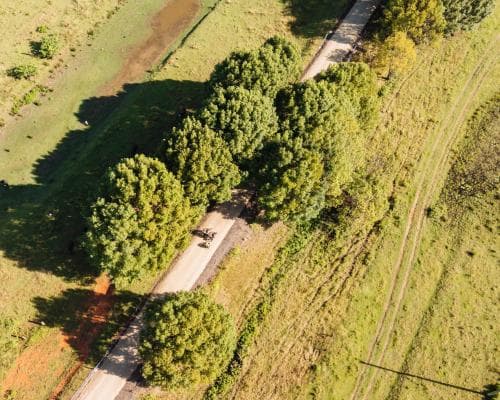 The Glow-Worm Express: Northern NSW’s 135km Rail Trail Beckons the Discerning Cyclist