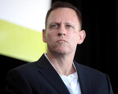 The Billionaire’s View: Peter Thiel’s Private Glimpse of the Bayeux Tapestry