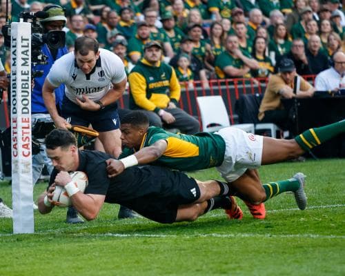 The Springboks' Ellis Park Loss Is a Warning to Investors: Dominance Without Innovation Is a Short Position