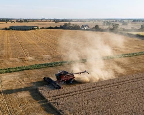 Britain's Food Supply Is Drying Up — and the Wealthy Are Starting to Notice