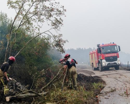 The King Who Walked Through Ashes: Belgium’s Philippe Meets the Heroes of a Historic Wildfire