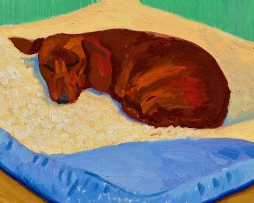 Hockney's Sleeping Dachshund Stanley Set to Fetch £2.5 Million at Christie's