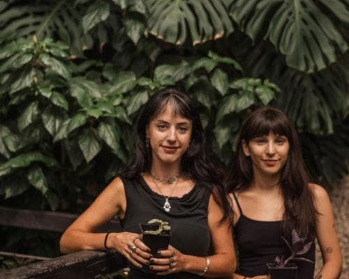 The Ultimate Souvenir: Owning a Piece of the Barbican's Botanical Crown