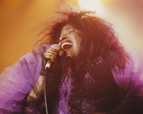 The Voice That Built Empires: Chaka Khan’s Timeless Blueprint for Sonic Luxury