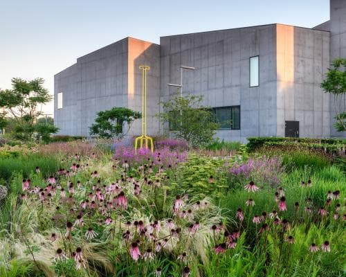 The Quiet Power of a Well-Tended Green: Why the World’s Sharpest Investors Are Betting on Gardeners