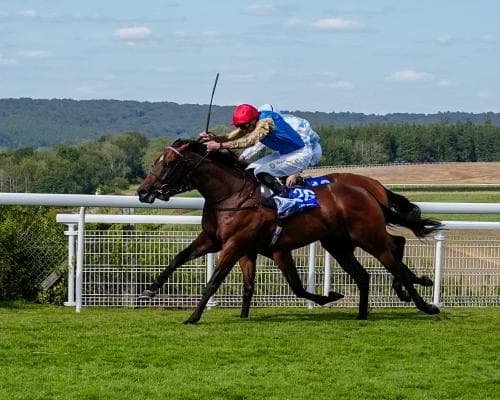 The £250k Sprint That Sealed a Glorious Goodwood Legacy