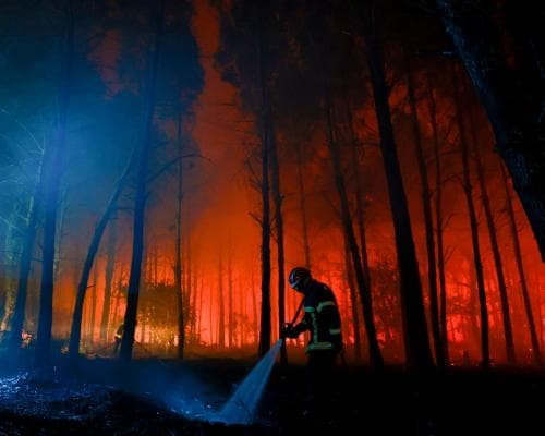 Europe's Heat Wave Is Burning Up More Than Forests — It's Torching Insurance, Energy, and the Continent's Fiscal Calm