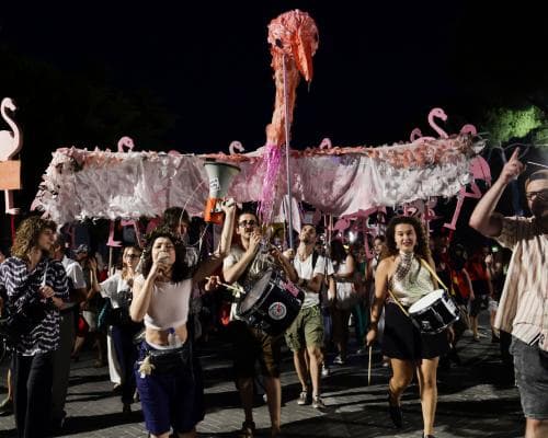 The Flamingo Revolution: Albania’s Last Wild Coast and the Battle for Its Soul