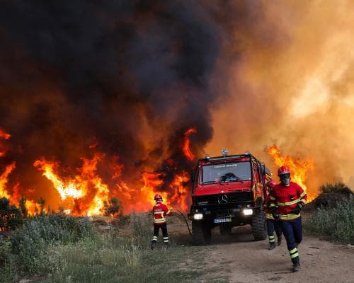 Wildfire Triage: The New Calculus of Catastrophe Risk for Global Wealth