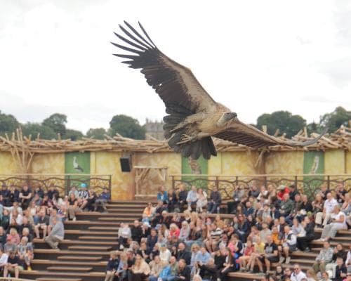 The Billionaire Who Bought a Palace, Then Rebuilt a Town: Inside the Mad, Magnificent Kynren