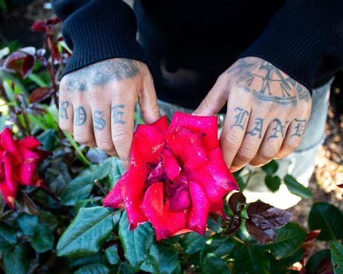 The New Wilderness: How Santa Rosa’s At-Risk Youth Are Finding Peace Among the Redwoods
