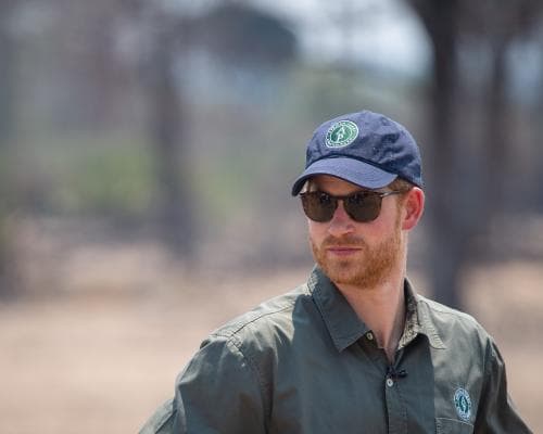 Prince Harry's African Parks Exit: The ESG Reckoning Hitting Big Conservation Money