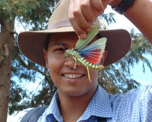 The Insect Kingdom’s Greatest Ambassador: Inside Dino J Martins’ Safari of the Small