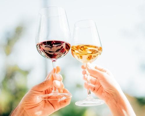 The Renegade Cellar: Why Côtes Catalanes Is the Ultimate Status Pour