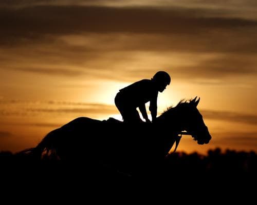 The Fair Hill Five: When the Turf’s Sharpest Minds Beat the Bookies at Their Own Game