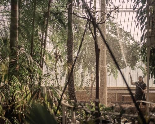 The Glass Cathedral’s Last Stand: Kew’s Palm House Prepares for a Daring Resurrection
