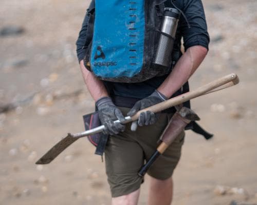 Britain's Jurassic Gold Rush: The Fossil Hunters Cashing In on a 190-Million-Year-Old Boom