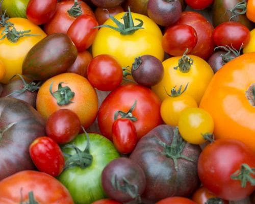 The Tomato That Tastes Like Money: How Britain’s Elite Are Trading Red for Rainbow