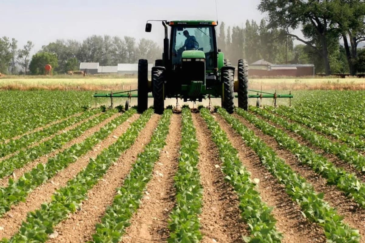 Nigeria's banks quietly pivot: agriculture loans hit N3.86trn as oil credit shrinks