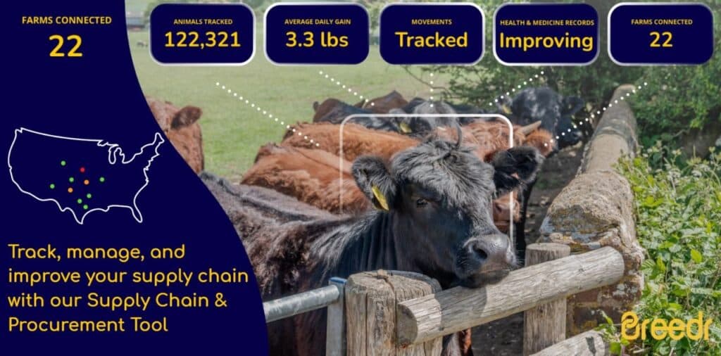 Breedr’s €23M bet: dragging global cattle farming out of the paper age