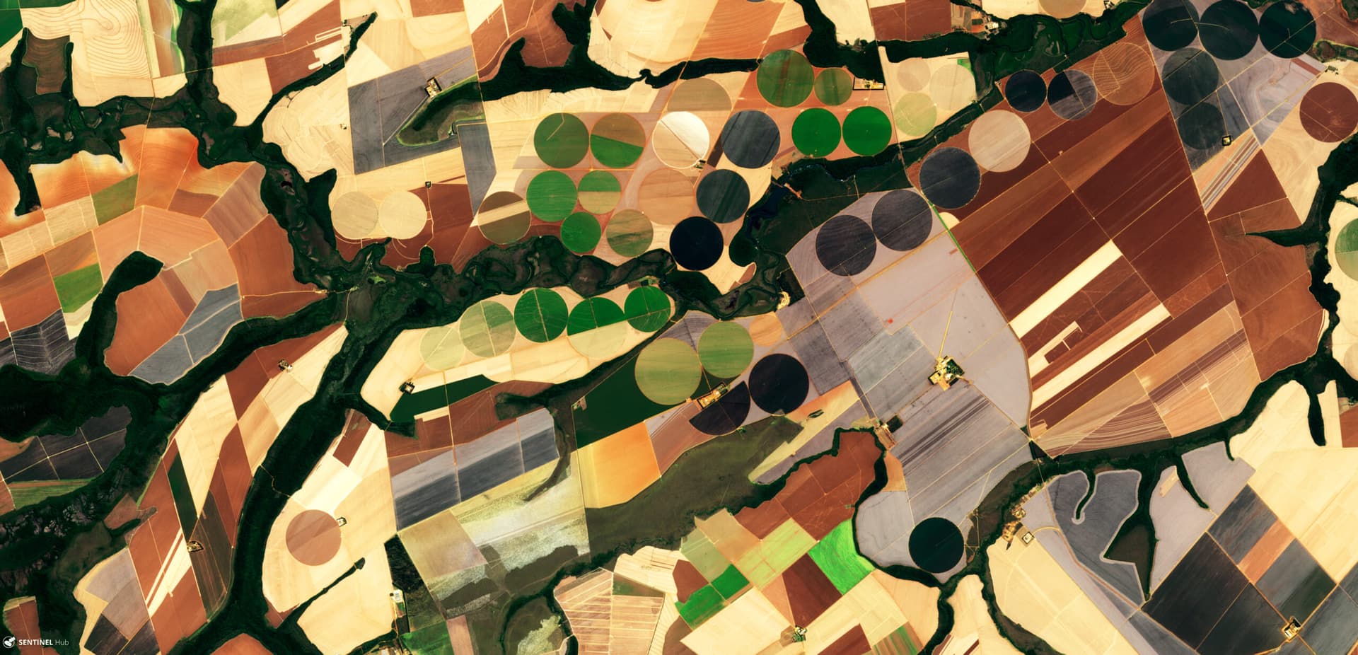 Wheat's War Premium Reshapes South America's Grain Export Calculus